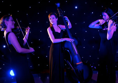 Jewel Strings - String Trio with Double Bass