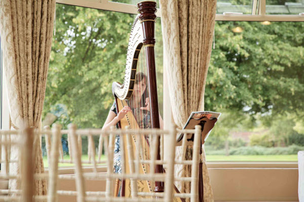 The Suffolk Wedding Harpist - Harpist