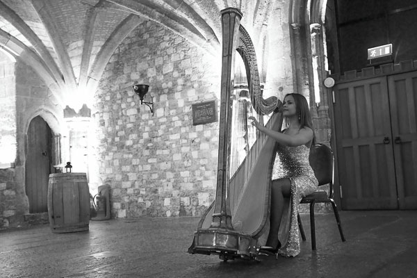 The Wedding Harpist - Harpist