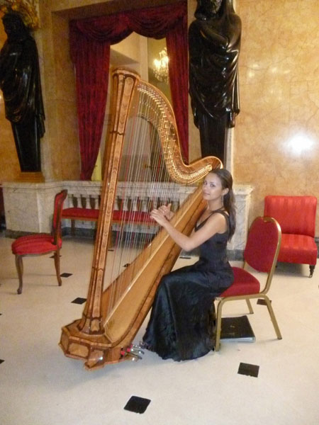 The Wedding Harpist - Harpist
