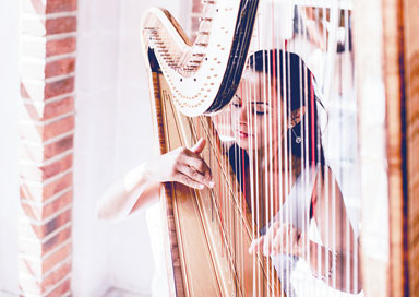 The Wedding Harpist - Harpist