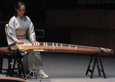 The UK Koto Player - Japanese Koto Musician