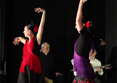 The Flamenco Dance Twins - Flamenco Dancers