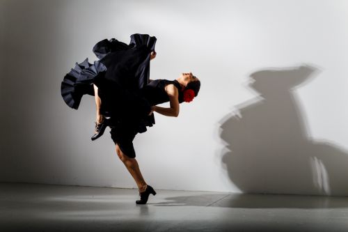 The London Flamenco Dancer - Solo Flamenco Dancer