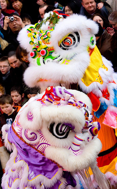The Chinese Lion Dancers - Chinese Lion Dancers and Dragon Dancers