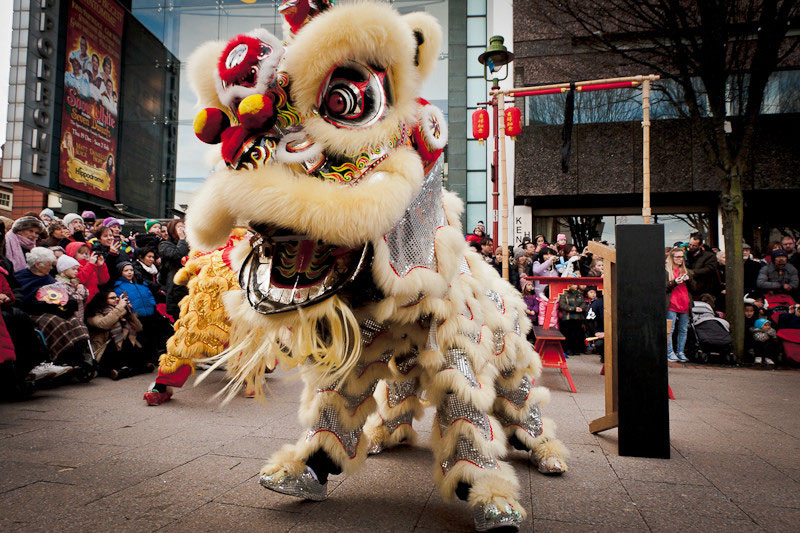 The Chinese Lion Dancers - Chinese Lion Dancers and Dragon Dancers