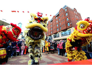 The Midlands Chinese Lion Dancers - Chinese Lion Dancers and Dragon Dancers