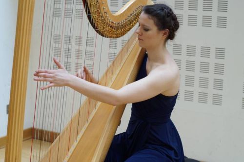 The Highlands Harpist - Classical & Celtic Harpist / Vocalist