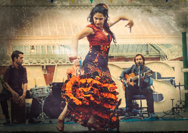 The Edinburgh Flamenco Group - Flamenco Group