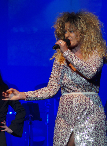 The Tina Turner Tribute - Tribute Act