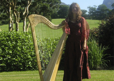 The Killarney Harpist - Harpist