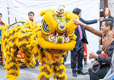The London Chinese Lion Dancers - act/2119
