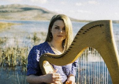The County Clare Harpist - Harpist & Concertina Player