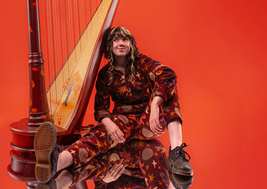 The Electric Harpist - act/2345
