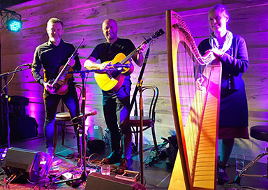 The Killarney Wedding Musicians - act/2398