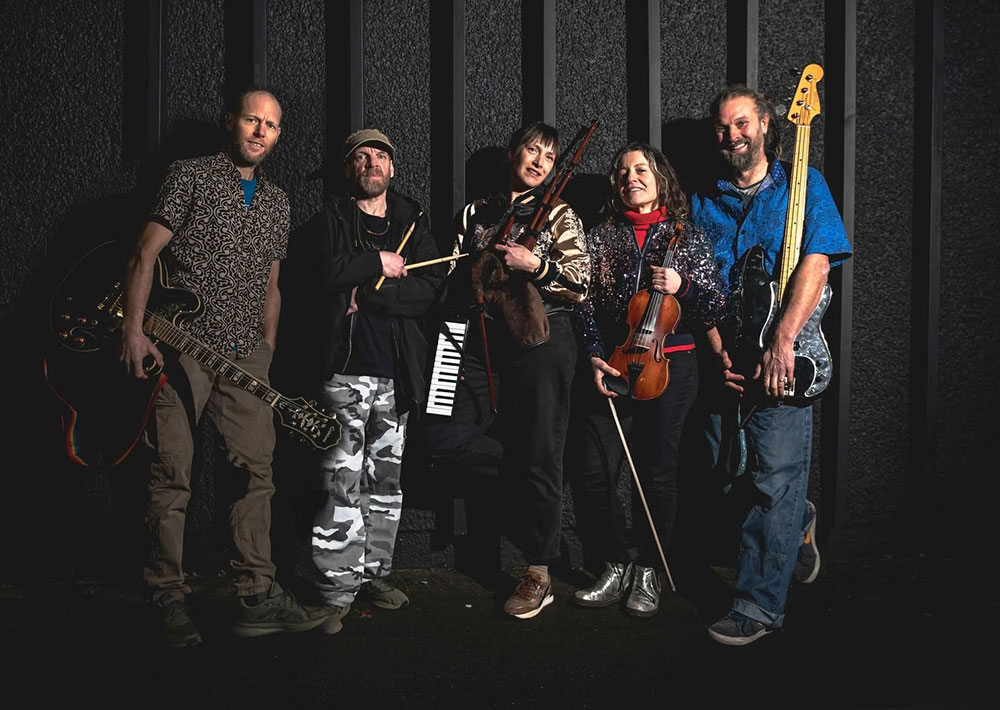 The Festival Party Band - Dub and Diddly Festival Band