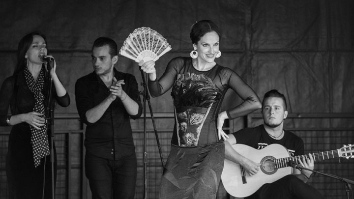 The Young Flamenco Guitarist - Flamenco Guitarist