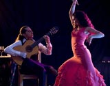 Pasión Flamenco Duo - Flamenco Dancer and Guitarist