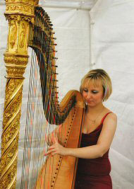 Fran McGuiness - Harpist