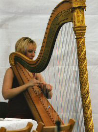 Fran McGuiness - Harpist