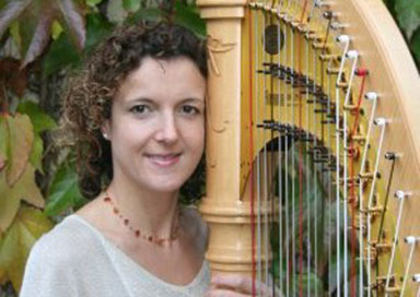 The Monmouthshire Harpist - Harpist