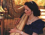 The Shropshire Harpist - Harpist