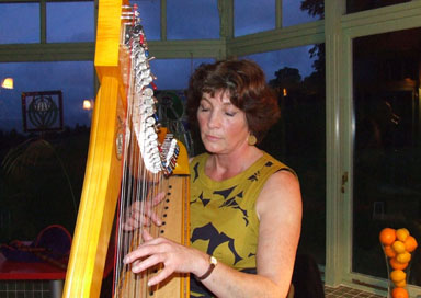 The Scottish Borders Harpist - Wedding Harpist and Singer