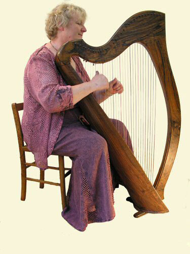 The Northamptonshire Harpist - Harpist
