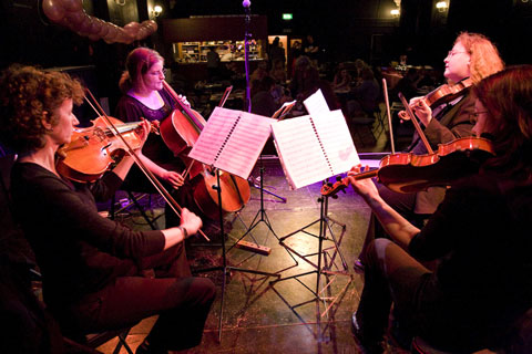 The Somerset String Quartet - String Quartet & Trio