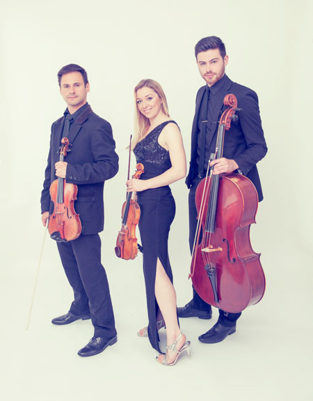The Iceni String Quartet - String Quartet & Trio