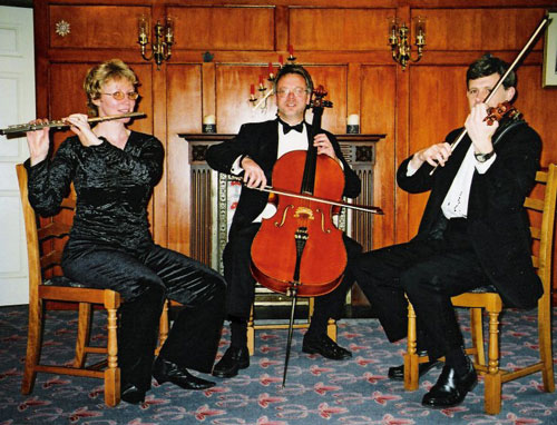 The Lake District Wedding Trio - String Trio with Flute