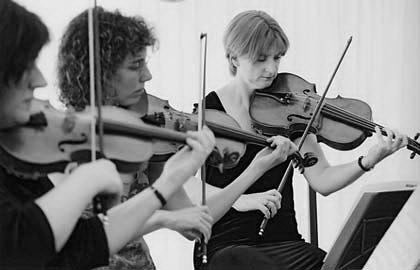 The Leicestershire String Quartet - String Quartet, Trio & Duo