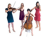 The Xenia String Ensemble  - String Quartet, Trio & Duo