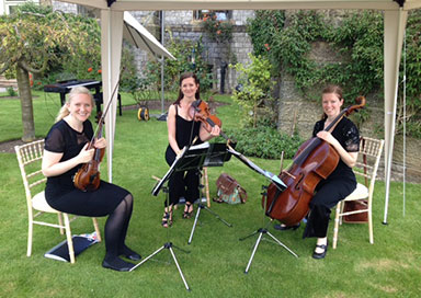 The Seasons Quartet - String Quartet & Trio
