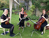 The Seasons Quartet - String Quartet & Trio
