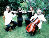 Serenade Strings - String Quartet